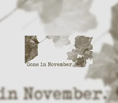 Gone In November