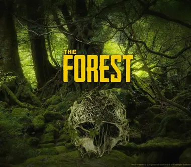 The Forest - Steam (Europe) Key
