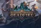 Pillars of Eternity II: Deadfire - Steam (Europe) Key