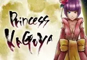 Princess Kaguya: Legend of the Moon Warrior preview 1