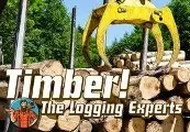 Timber! The Logging Experts