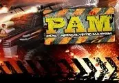 Post Apocalyptic Mayhem