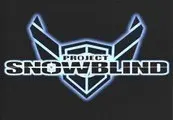 Project: Snowblind