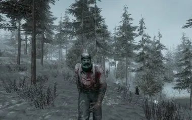 7 Days to Die - Gift preview 2