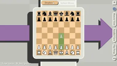 5D Chess With Multiverse Time Travel preview 5