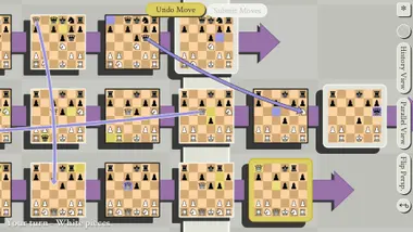 5D Chess With Multiverse Time Travel preview 7