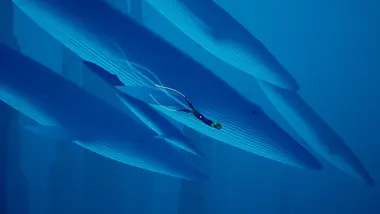 ABZU - Live - UNITED STATES preview 4