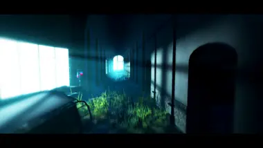Acanthoceras preview 4
