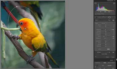 Adobe Lightroom 5.7 - Adobe Key preview 2