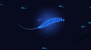 Akuatica preview 5