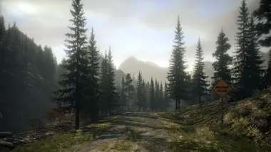 Alan Wake Collector's Edition preview 5