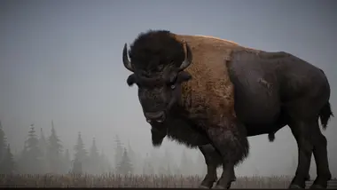Alaskan Road Truckers preview 3