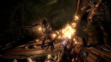Aliens vs Predator preview 7