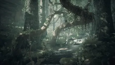 Ancestors: The Humankind Odyssey - Live preview 4