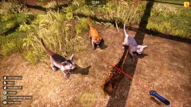 Animal Shelter 2 - Gift preview 9