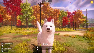 Animal Shelter 2 - Gift preview 12