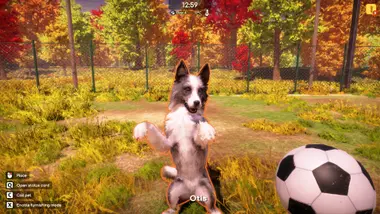 Animal Shelter 2 preview 7