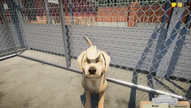 Animal Shelter preview 2