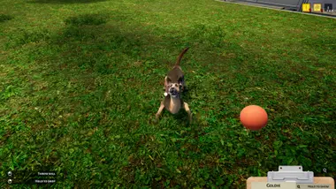 Animal Shelter preview 7