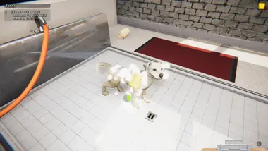 Animal Shelter preview 14