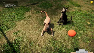 Animal Shelter preview 18
