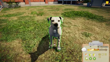 Animal Shelter preview 10