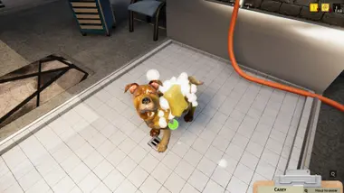 Animal Shelter preview 9