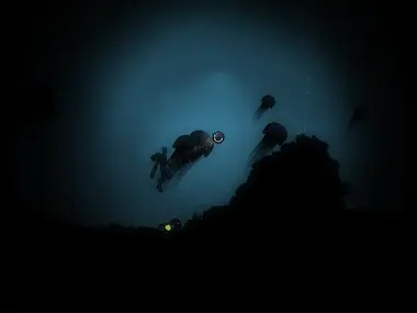 Anoxemia preview 5