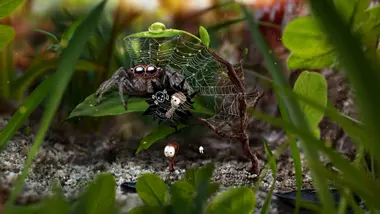 AntVentor preview 6