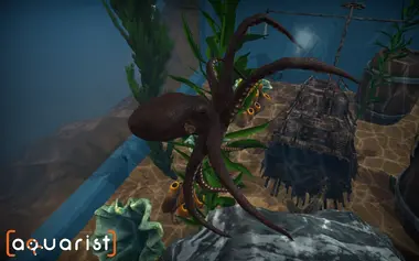 Aquarist preview 4