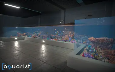 Aquarist preview 5