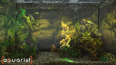 Aquarist preview 12