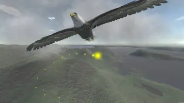 Aquila Bird Flight Simulator preview 3