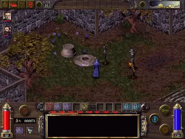 Arcanum: Of Steamworks and Magick Obscura .COM preview 6