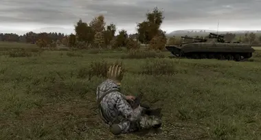 Arma 2: Complete Collection preview 6