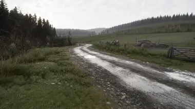 Assetto Corsa Rally preview 7