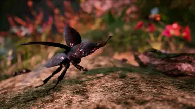 AWAY: The Survival Series preview 7