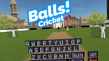 Balls! Virtual Reality Cricket preview 8