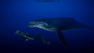 Beyond Blue preview 10