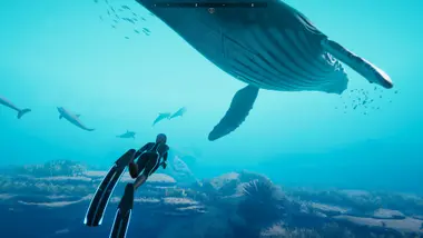 Beyond Blue preview 7
