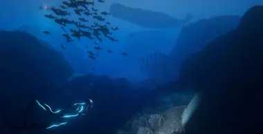 Beyond Blue preview 21