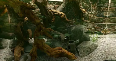 Biotope preview 6