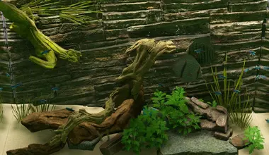 Biotope preview 4