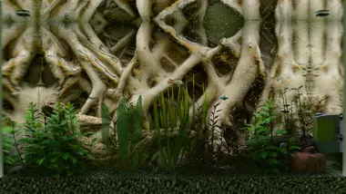 Biotope preview 7