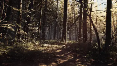 Blair Witch - Live - UNITED STATES preview 2