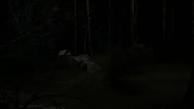 Blood Trail preview 9