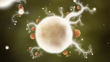 Botanicula preview 9