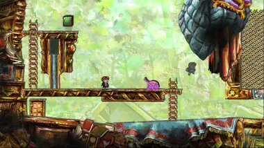 Braid preview 10