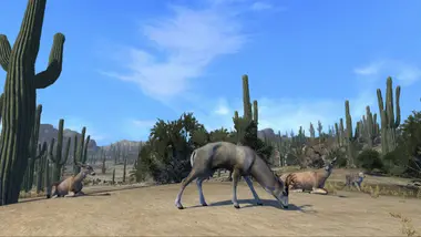 Cabela's Big Game Hunter Pro Hunts preview 2