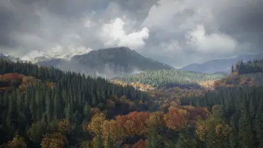 Call of the Wild Bundle preview 32